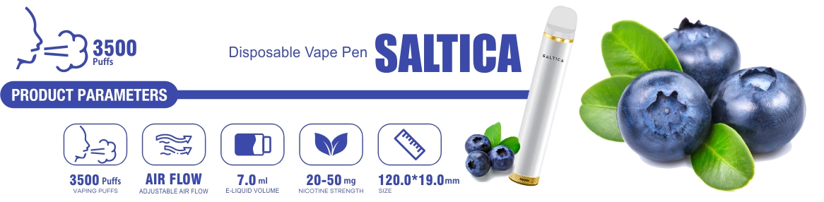 Saltica Blueberry Ice Disposable Vape Pen